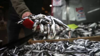 Hamsi liderligi kaptirmadi manset