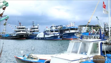 orduda olumsuz hava kosullari nedeniyle balikci tekneleri limanlara sigindi