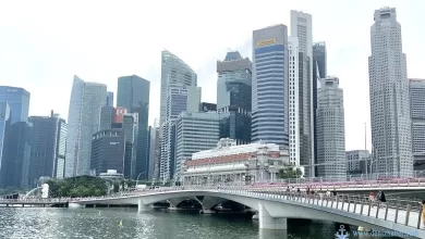 singapore fullerton merlion 780x470